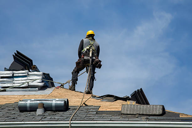 Professional Roofing technician working in Alberta, VA